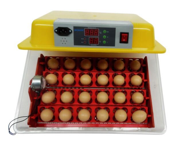 Egg Incubator